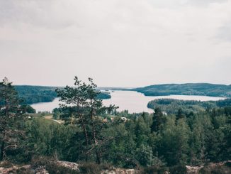 Hela Sverige bakar illustration