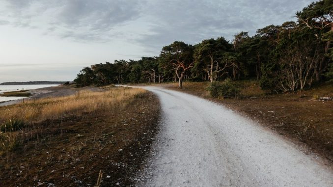 The island Sverige illustration