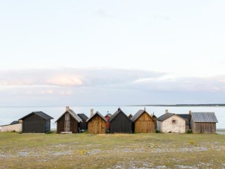 Hur klimatförändringar påverkar svenska ekosystem illustration