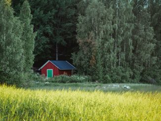 Hållbara initiativ inom svensk modeindustri illustration